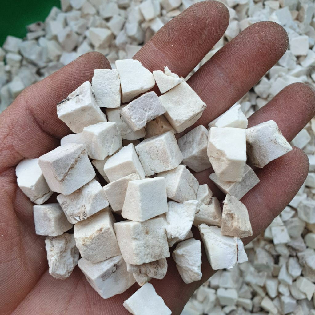 bạch linh viên 1kg, bạch phục linh viên | Shopee Việt Nam