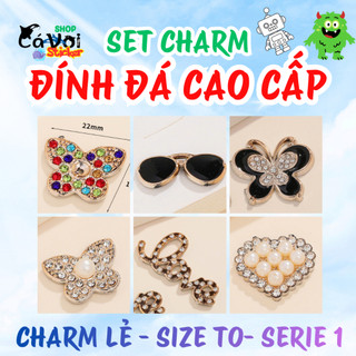 Charm đính đá cao cấp: Charm lẻ hàng VIP size to -Series 1