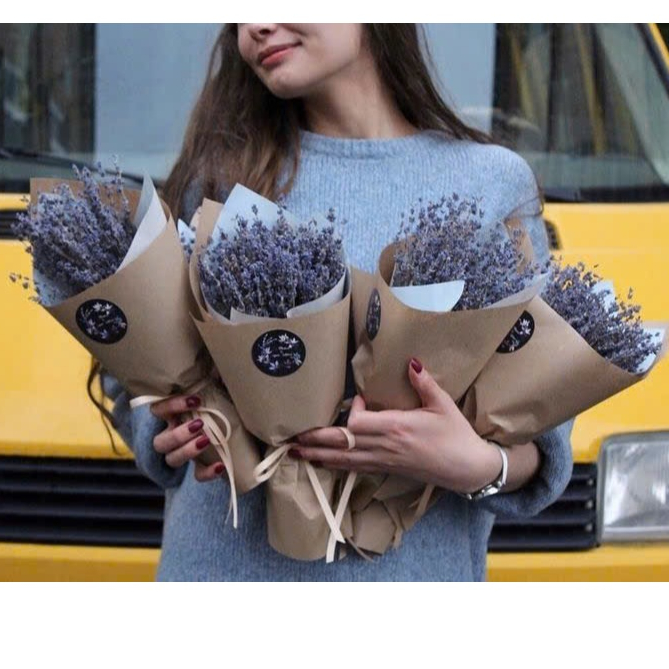 Hoa lavender - Giá Tốt, Sale Tháng 10, Ship 0 Đồng | Shopee Việt Nam