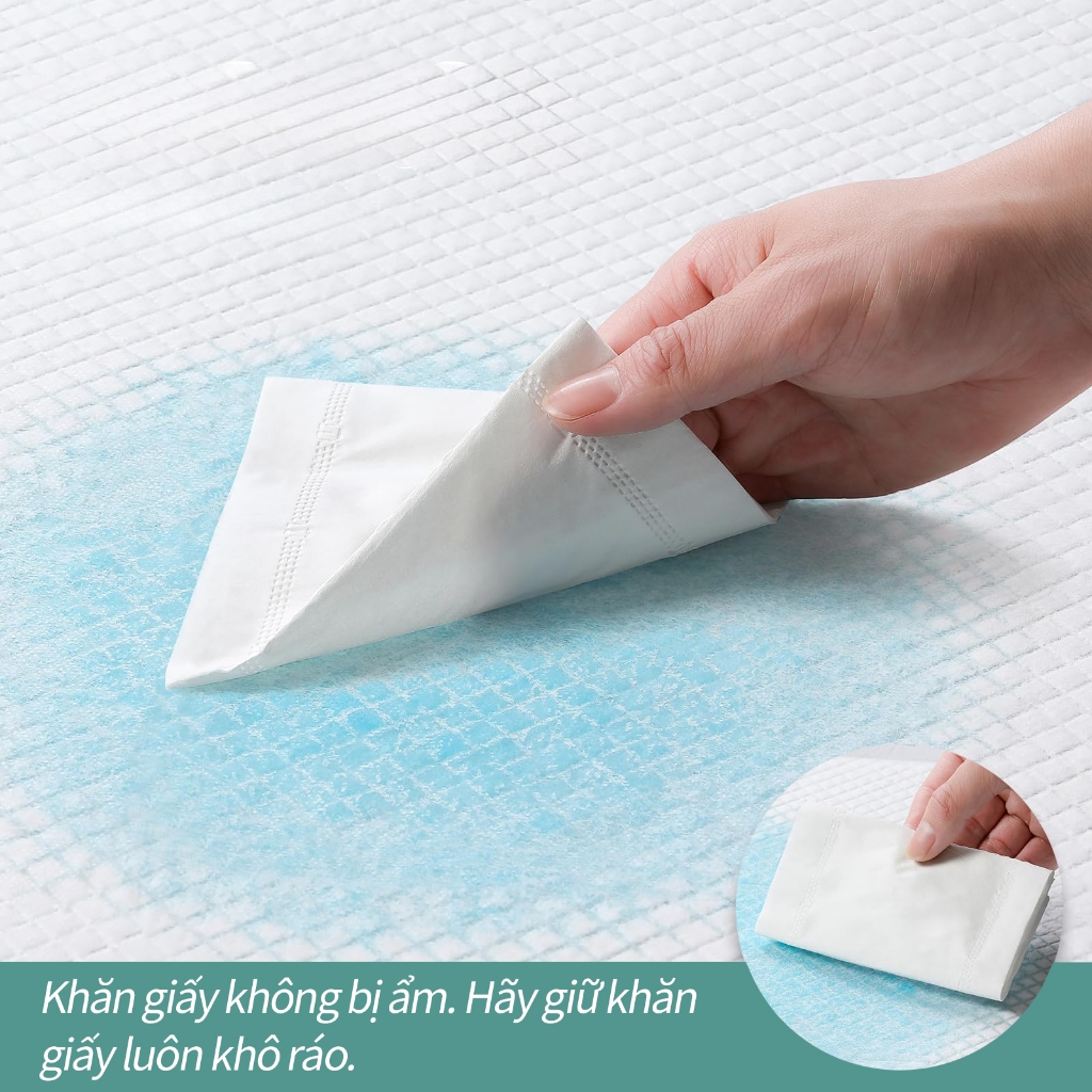 Thương Hiệu MaiWieel Tấm Lót Chống Thấm Nước Tiểu 10 Miếng Siêu Dày Siêu Thấm Hút Cho Người Già Mẹ