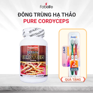 Viên Uống Đông Trùng Pure Cordyceps Fobe Giúp Tăng Cường Đề Kháng, Cơ Thể Khoẻ Mạnh NN - Hộp 60v