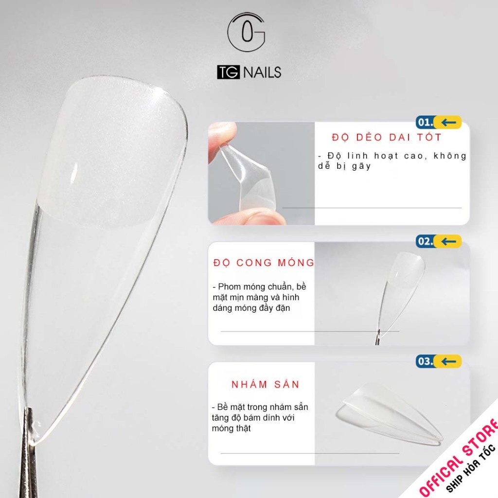 Móng úp TG hộp 552 móng 12 size
