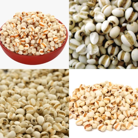 Hạt ý dĩ nếp thương hiệu JINDO bồi bổ sức khỏe 1kg