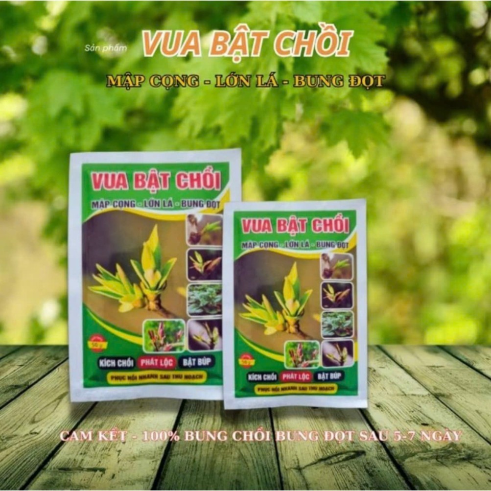 Vua Bật Chồi-kích thích sinh trưởng cho cây trồng, giúp bật chồi mạnh, ra lộc nhanh