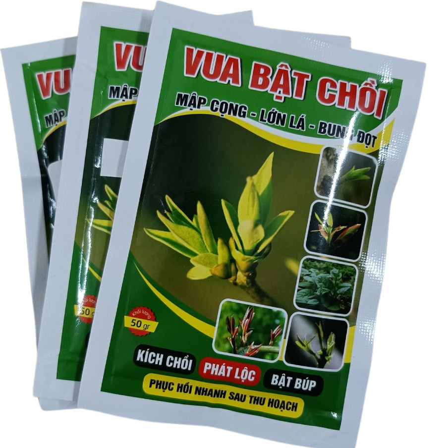 Vua Bật Chồi-kích thích sinh trưởng cho cây trồng, giúp bật chồi mạnh, ra lộc nhanh