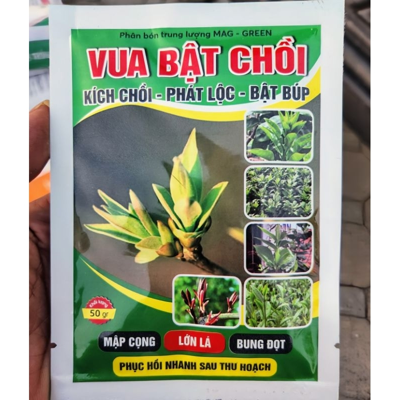 Vua Bật Chồi-kích thích sinh trưởng cho cây trồng, giúp bật chồi mạnh, ra lộc nhanh