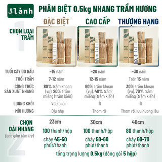 Nhang Trầm Hương 3 Lành Đặc Biệt 30-40cm Hộp 100gr Sạch Tự Nhiên 100% 12 Năm Trầm Thờ Cúng Tôn Giáo