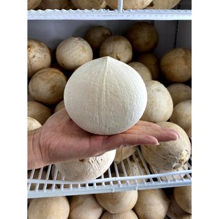 1 Trái Dừa Xiêm Miền Tây Gọt Trọc Trắng KACOCO - Ngọt, Mỏng vỏ, nước nhiều giải khát, giảm nhiệt, tươi mát, uống liền