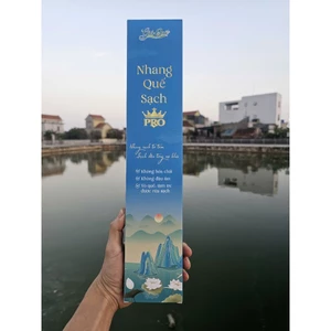 Nhang quế sạch PRO - Gió Quê - Không hóa chất, không đậu tàn - hộp 100 nén