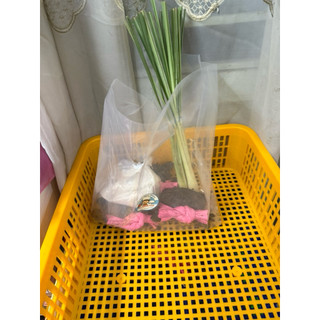 Cua thịt Y3 3 con (1kg2-1kg4) giao sống ( hàng sẵn giao liền  )
