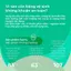 COMBO Băng Vệ Sinh SOOYU Ngày Đêm Và Băng Quần Hàng Ngày Kháng Khuẩn Chống Tràn Tiện Lợi Siêu Mỏng