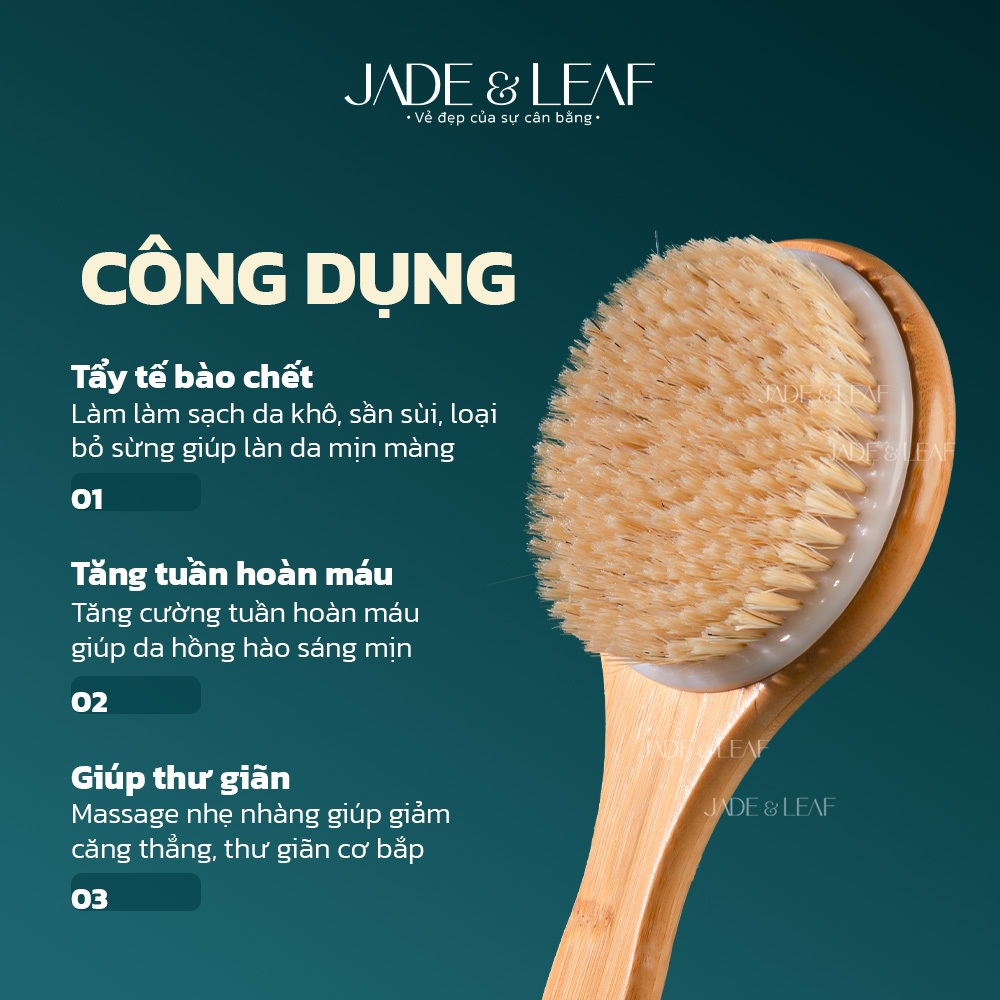 Cây Chà Lưng Jade&Leaf Chải Khô Body Tẩy Tế Bào Chết Và Làm Mịn Da Chà Tắm Khô Từ Lông Tự Nhiên