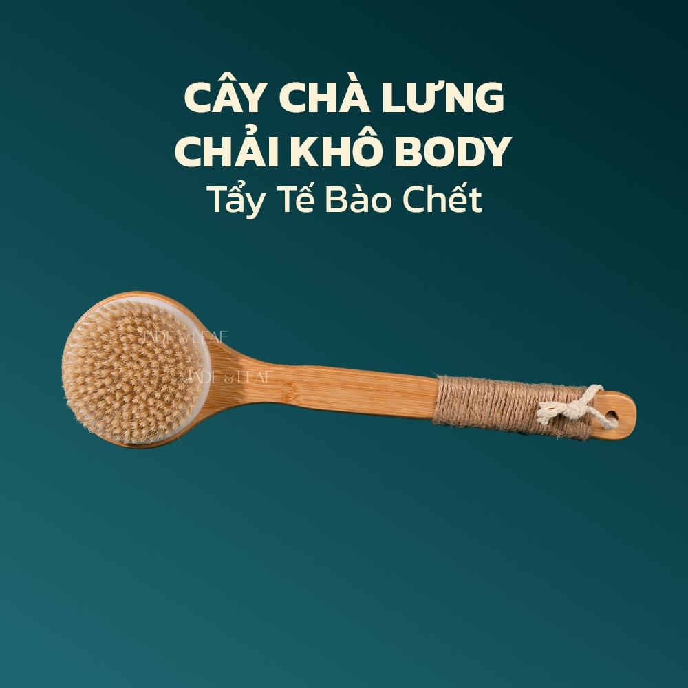 Cây Chà Lưng Jade&Leaf Chải Khô Body Tẩy Tế Bào Chết Và Làm Mịn Da Chà Tắm Khô Từ Lông Tự Nhiên