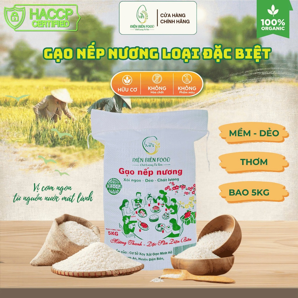 Gạo Nếp Nương Hạt Dài Điện Biên 5kg ( loại đặc biệt ) | Shopee