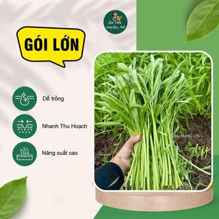 [GÓI LỚN 1KG] Hạt Giống Rau Muống Lá Tre Cao Sản, Dễ Trồng, Nhanh Thu Hoạch, Năng Suất Cao