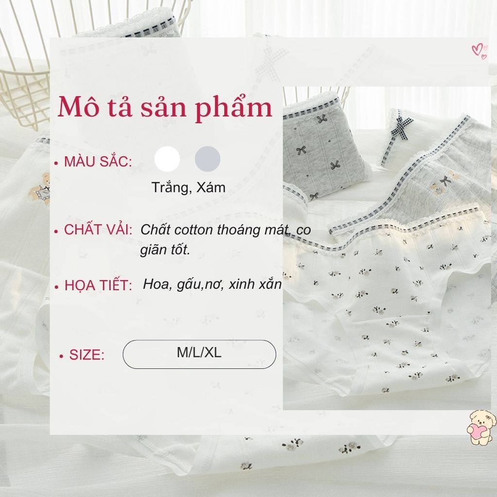Quần lót cotton cao cấp thấm hút co giãn êm ái- Quần chip nữ viền ren họa tiết xinh xắn LANIXA L1129