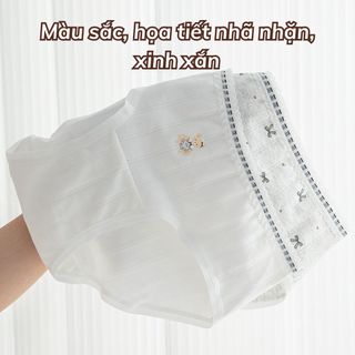 Quần chip nữ cao cấp cotton mềm mại thoáng mát cạp vừa tôn dáng SEXY gợi cảm co giãn tốt DEVARI 1129