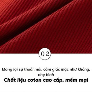 Quần lót nữ cotton gân tăm mềm mại thấm hút - Quần chip nữ cao cấp đáy lót kháng khuẩn khử mùi LY20