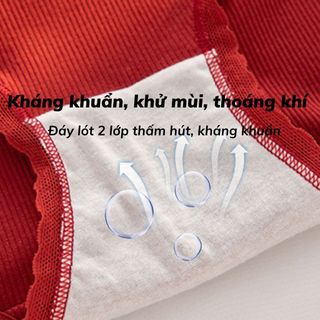Quần lót nữ cao cấp họa tiết xinh xắn đáng yêu đáy lót 2 lớp kháng khuẩn thoáng khí DEVARI LY20