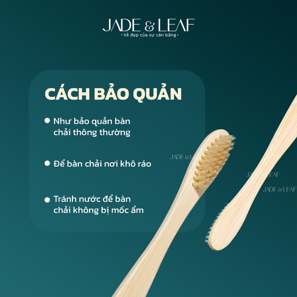 Bàn Chải Đánh Răng Thân Tre Jade&Leaf Cao Cấp, Lông Mềm Bảo Vệ Nướu Chất Liệu Gỗ Tre Thiên Nhiên