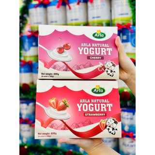 Sữa chua nguội Arla Natural Yogurt hỗ trợ tiêu hóa khỏe mạnh giúp bé phát triển toàn diện