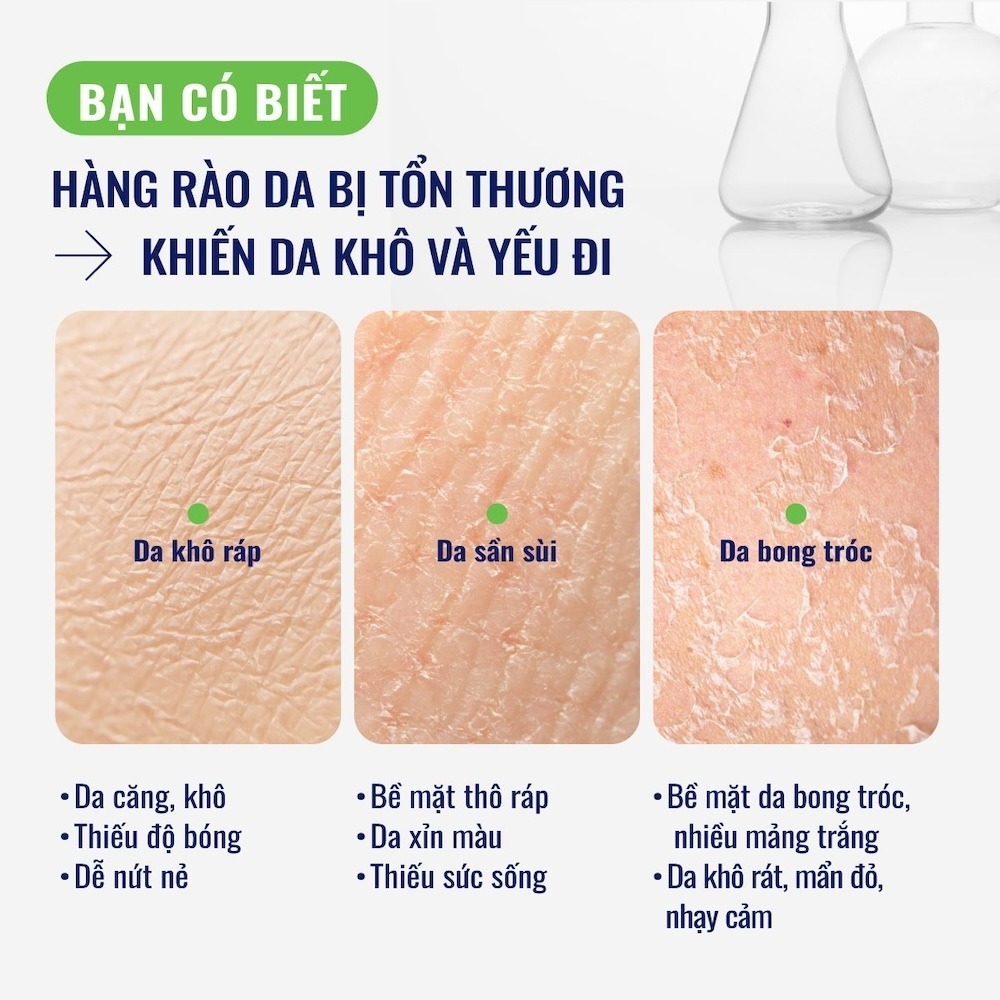 Kem dưỡng ẩm dịu lành cho da nhạy cảm cấp ẩm sâu đến 48H Cetaphil Moisturizing Cream 50g