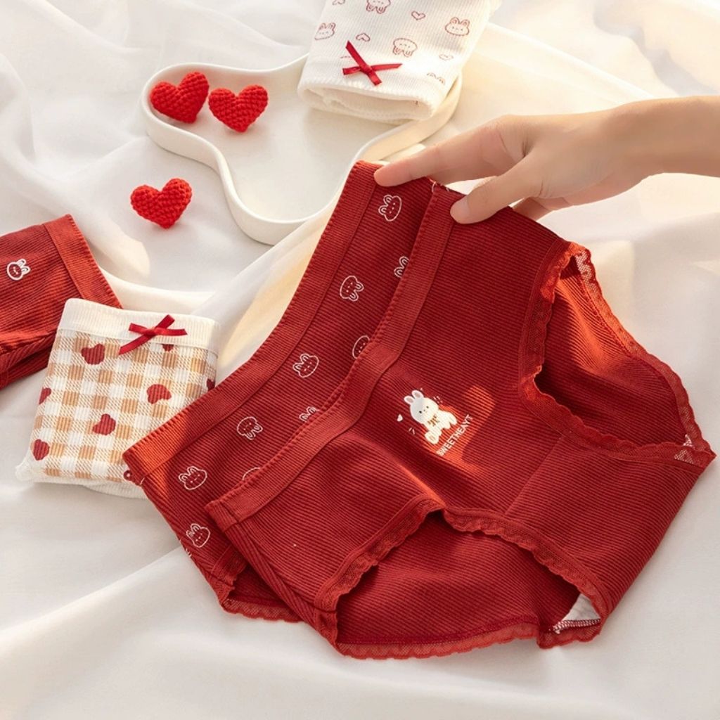 Quần chip nữ cotton gân tăm mềm mại thoáng khí  Quần lót nữ cotton cao cấp họa tiết cute LANIXA LY20