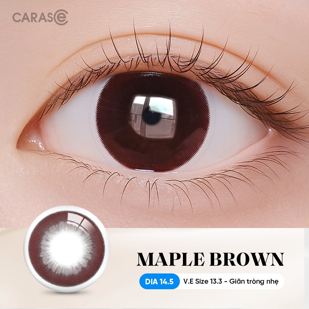 [1 chiếc] Kính áp tròng khoá ẩm 8H 1 Ngày Màu Nâu Đỏ CARASE, Lens cận MAPLE BROWN