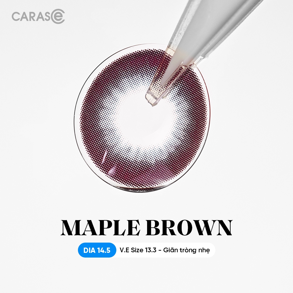 [1 chiếc] Kính áp tròng khoá ẩm 8H 1 Ngày Màu Nâu Đỏ CARASE, Lens cận MAPLE BROWN