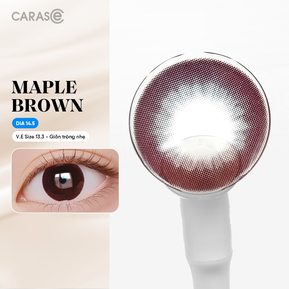 [1 chiếc] Kính áp tròng khoá ẩm 8H 1 Ngày Màu Nâu Đỏ CARASE, Lens cận MAPLE BROWN