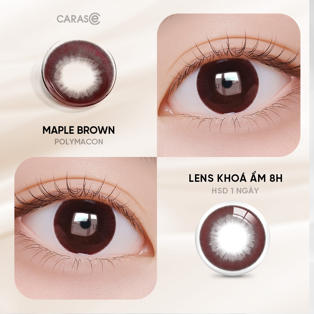 [1 chiếc] Kính áp tròng khoá ẩm 8H 1 Ngày Màu Nâu Đỏ CARASE, Lens cận MAPLE BROWN