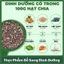 Hạt chia Úc giảm cân chính hãng gói 500g, hạt dinh dưỡng cao cấp ăn kiêng healthy, ăn vặt HTC Food