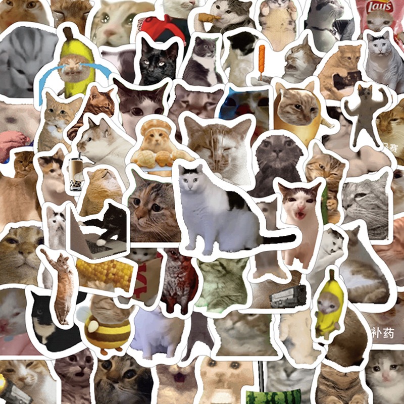 Sticker meme - Giá Tốt, Miễn Phí Vận Chuyển, Đủ Loại | Shopee Việt Nam