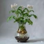 🪴​Lựa chọn an toàn : Vẻ Đẹp Thanh Lịch và Tiện Ích Đơn Giản​ "Bình thủy sinh Acrylic cao cấp – Trong suốt không lo vỡ