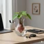 🪴​Lựa chọn an toàn : Vẻ Đẹp Thanh Lịch và Tiện Ích Đơn Giản​ "Bình thủy sinh Acrylic cao cấp – Trong suốt không lo vỡ