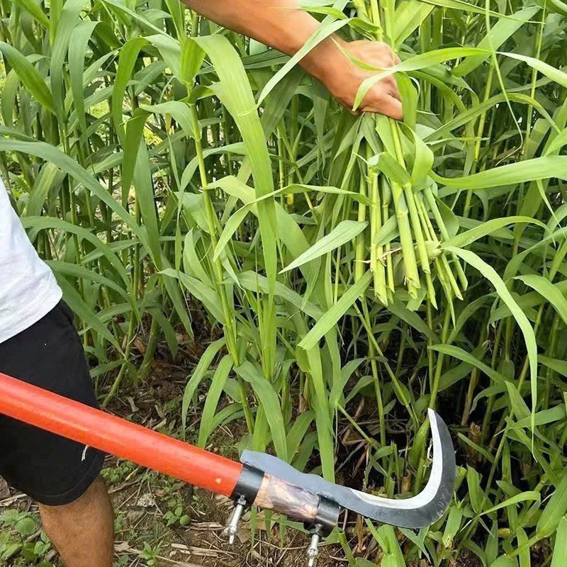 Thanh Lý Hàng Bị Mẻ Nhẹ Lưỡi Liềm Cắt Cây Đa Năng Chuyên Cắt Cành Trên Cao, Vạc Cỏ, Cắt Cau, Chặt Chuối
