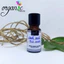 CHIẾT XUẤT TRÀ XANH - Camellia sinensis leaf extract (VIỆT NAM)