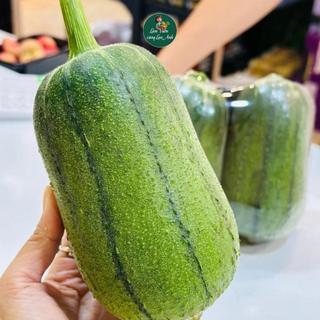 Hạt giống Mướp Táo F1 (Gói 5 Hạt) Thơm Ngon Ngọt, Dễ Trồng, Năng Suất Cao, Trồng Quanh Năm