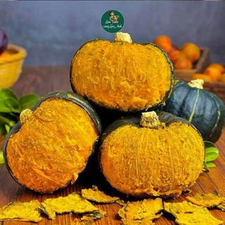 Hạt Giống Bí, Bầu, Mướp, Đậu Dễ Trồng, Nhanh Thu Hoạch, Năng Suất Cao, Trồng Quanh Năm
