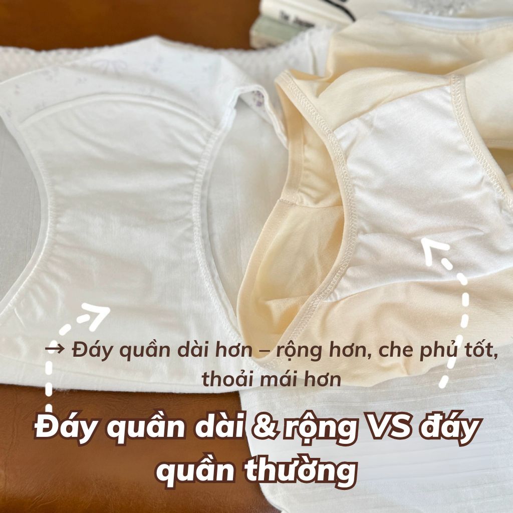 Quần lót cotton cao cấp hoạt tiết hoa nhí xinh xắn cạp vừa tôn dáng co giãn thấm hút tốt LANIXA 1133