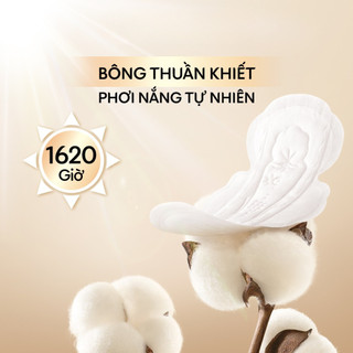 Gói/ Lốc 4 Gói Băng Vệ Sinh Kotex Stylista Mặt Bông Cotton Siêu Mỏng Cánh Sưởi Năng 1620 giờ 24CM 8 miếng/gói