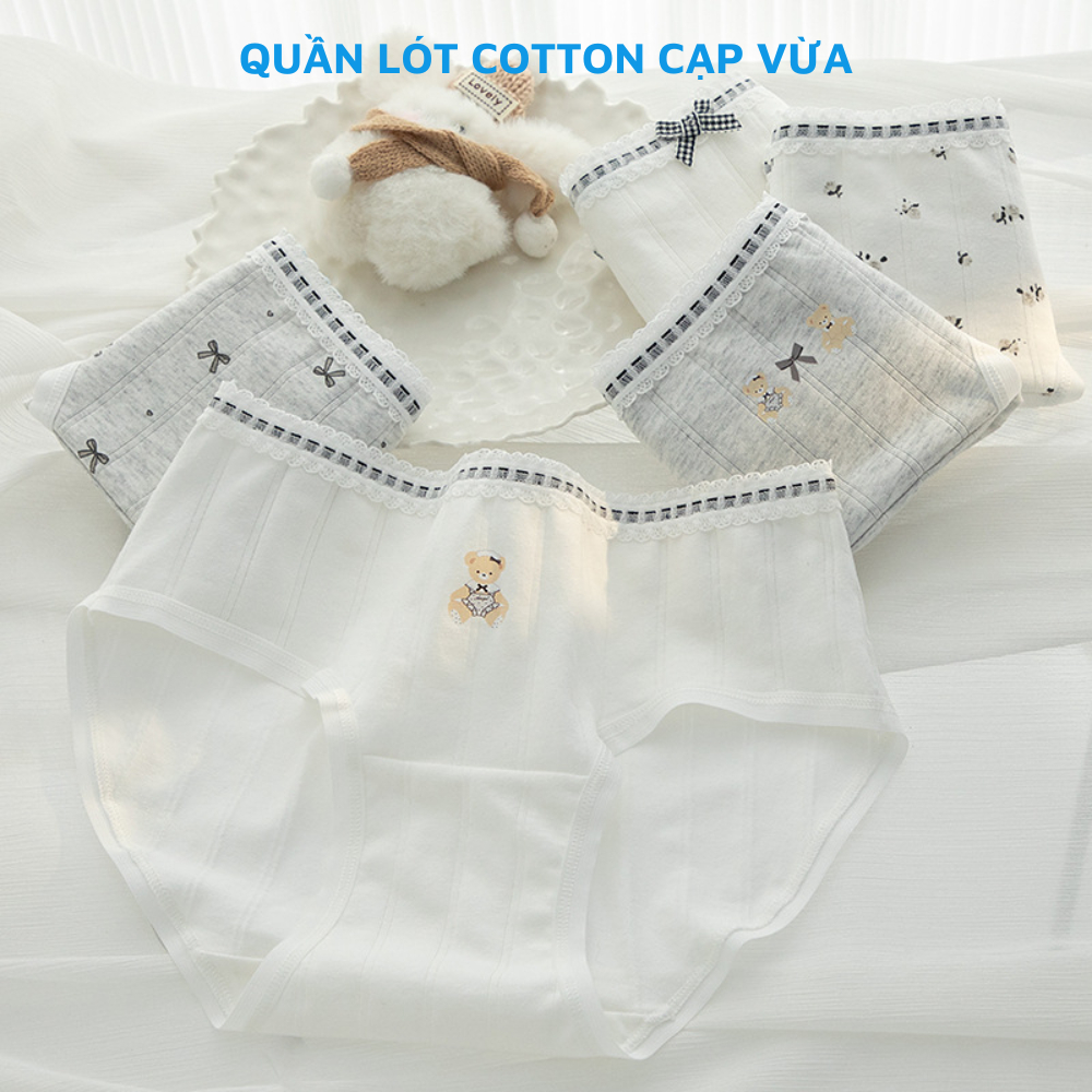 [BST MỚI 2026] Combo 5 quần lót cotton họa tiết dễ thương, quần chíp nữ đáy kháng khuẩn thoáng khí