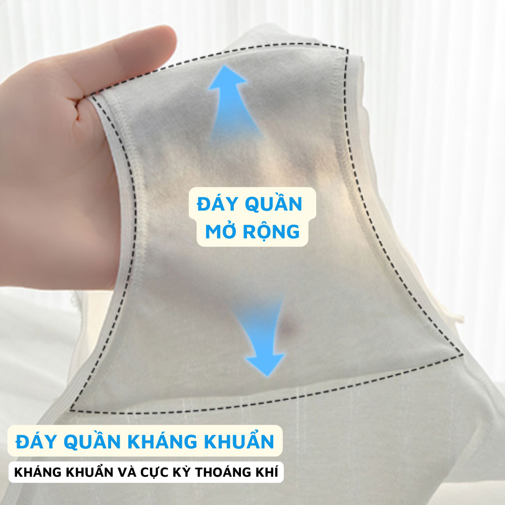 [ Xả Hàng ] Quần lót nữ cotton cạp vừa ôm dáng không lộ viền, Quần chip nữ đáy may kháng khuẩn tone màu basic L1129