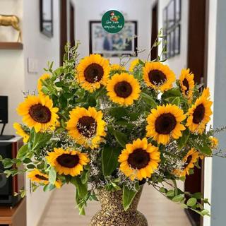 Hạt Giống Hoa Hướng Dương Cắt Cành F1 (Gói 50 hạt) Bông To, Nhụy Đen, Hoa Nở Sau 55–60 ngày
