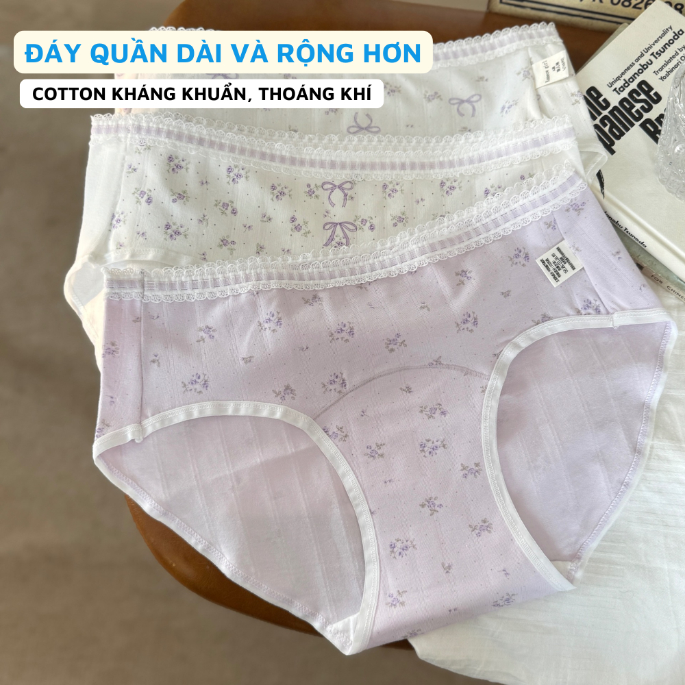 [BST MỚI 2026] Combo 5 quần lót cotton họa tiết dễ thương, quần chíp nữ đáy kháng khuẩn thoáng khí