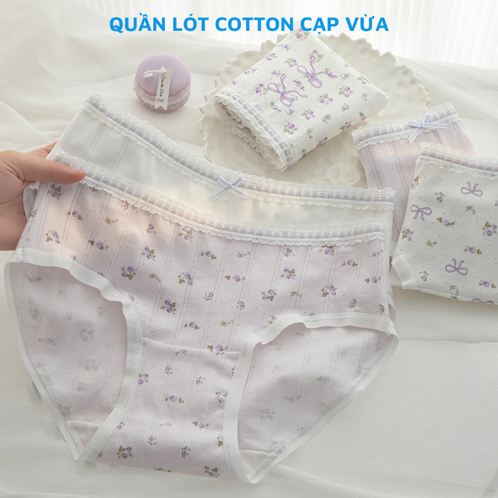 [BST MỚI 2026] Combo 5 quần lót cotton họa tiết dễ thương, quần chíp nữ đáy kháng khuẩn thoáng khí