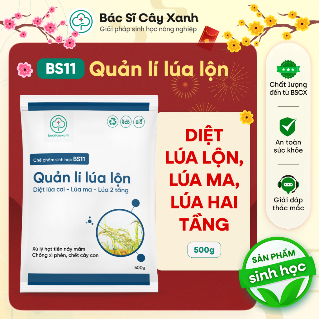 BS11 Quản Lí Lúa Lộn Lúa Cỏ Lúa Ma 500g - Chống Xì Phèn Không Ảnh Hưởng ...