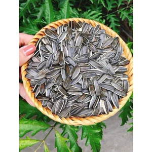 Hướng dương rang củi 99k/1 kg