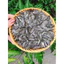 Hướng dương rang củi 99k/1 kg