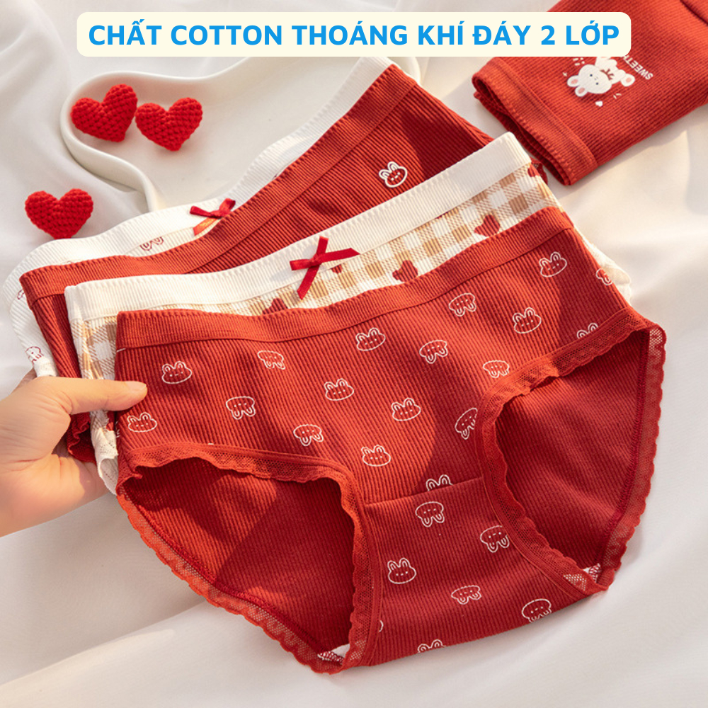 [ Xả Hàng ] Quần lót nữ viền ren chất cotton thoáng khí, quần chíp nữ cạp vừa đáy kháng khuẩn 7a ZANABRA Y20